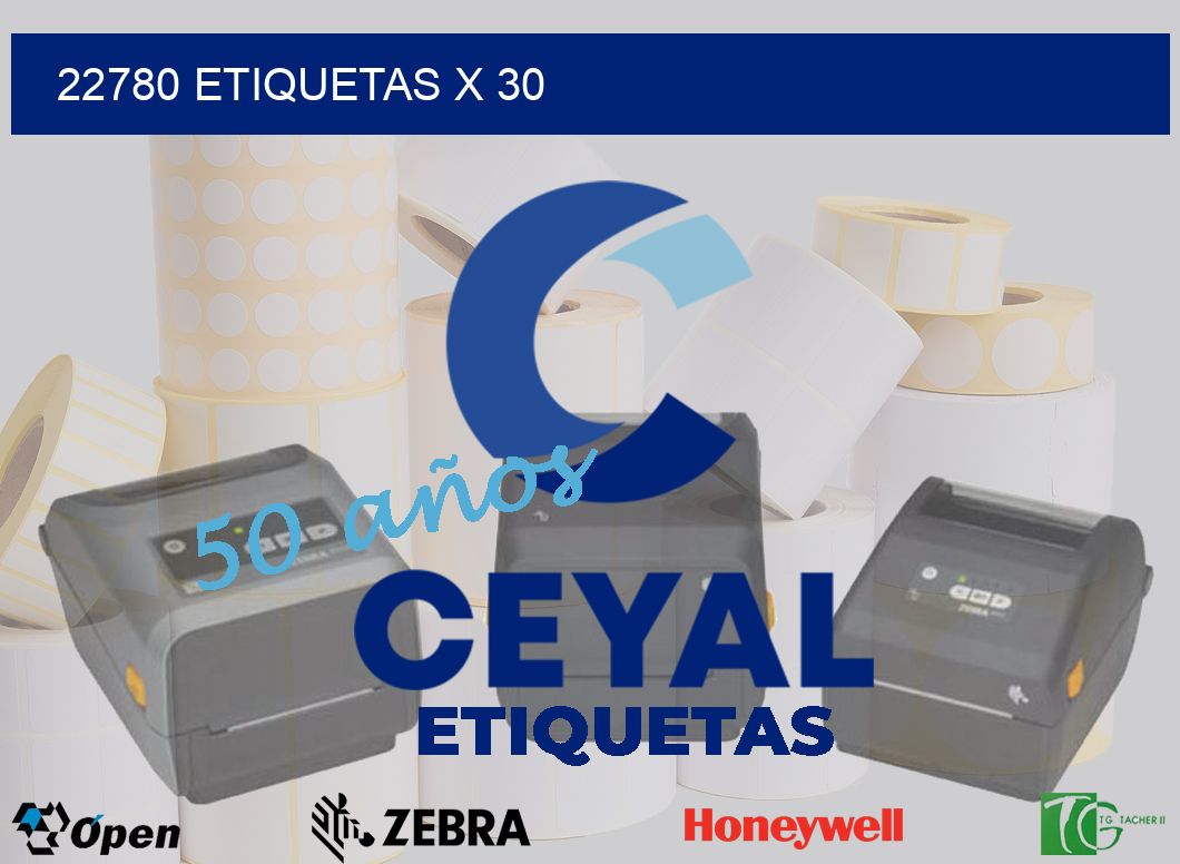 22780 Etiquetas x 30