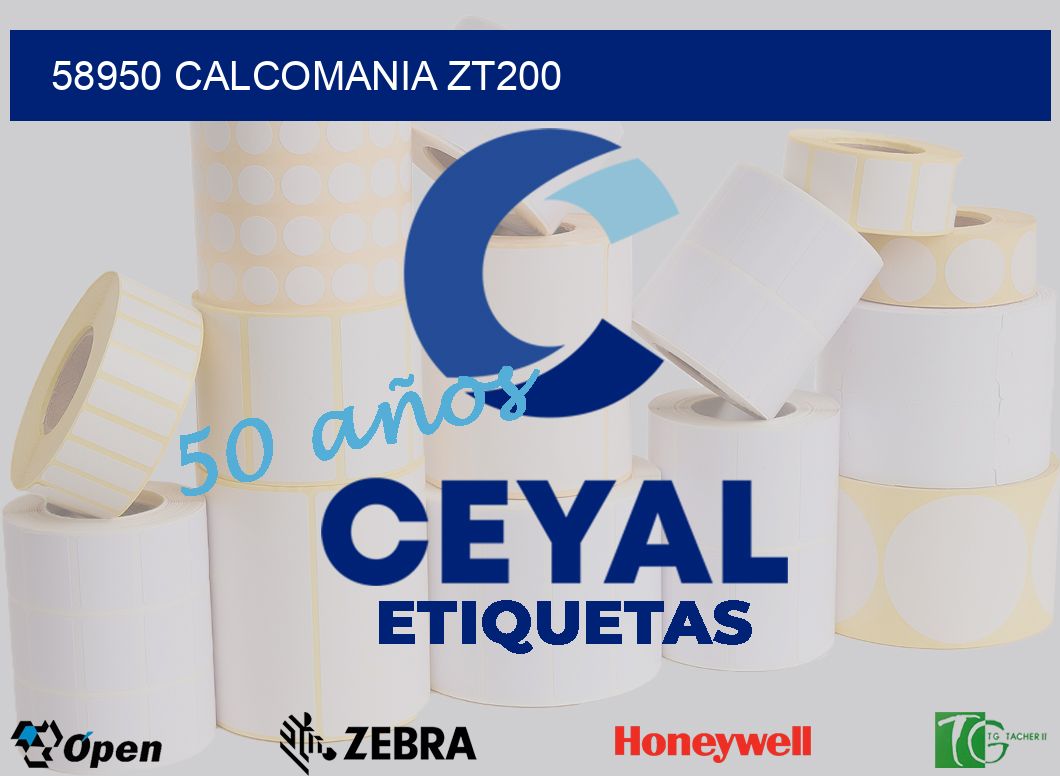 58950 CALCOMANIA ZT200
