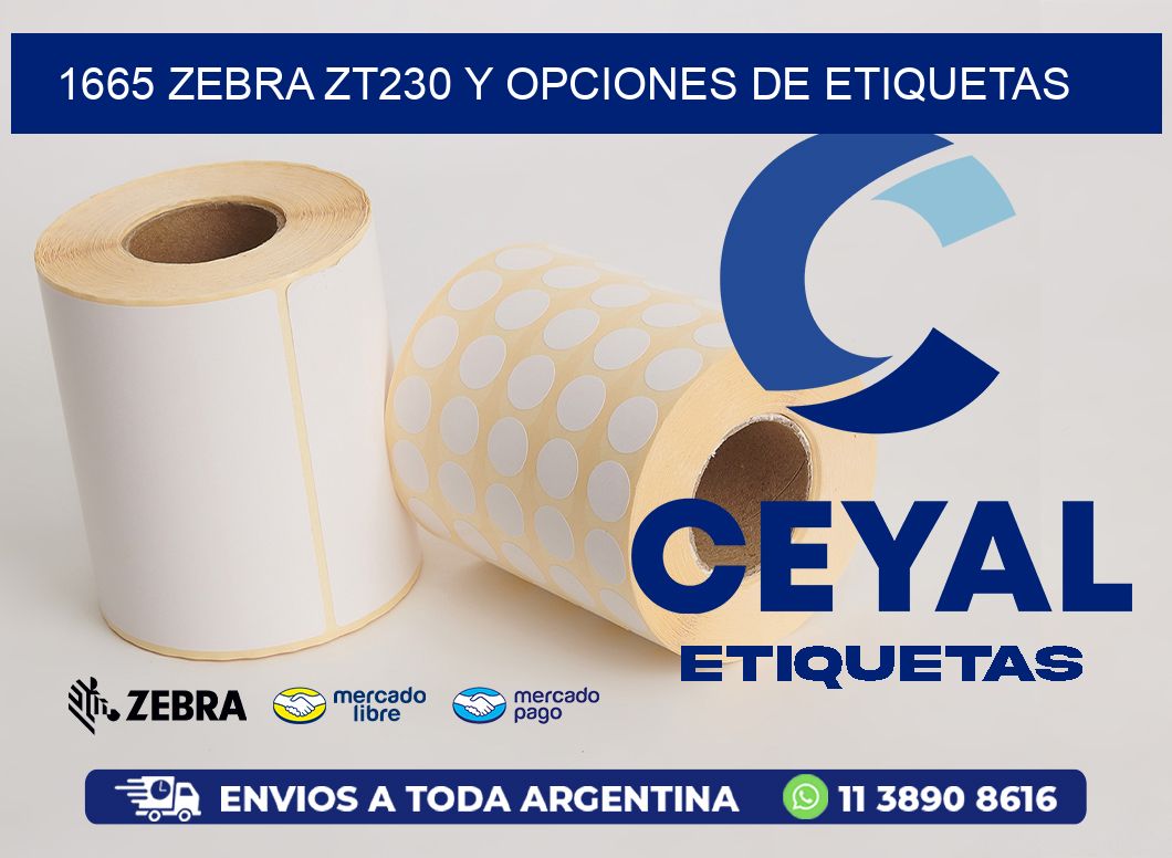 1665 Zebra ZT230 y Opciones de Etiquetas
