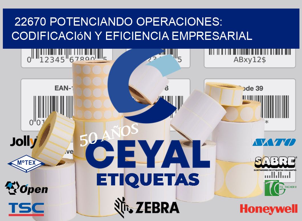 22670 Potenciando Operaciones: Codificación y Eficiencia Empresarial