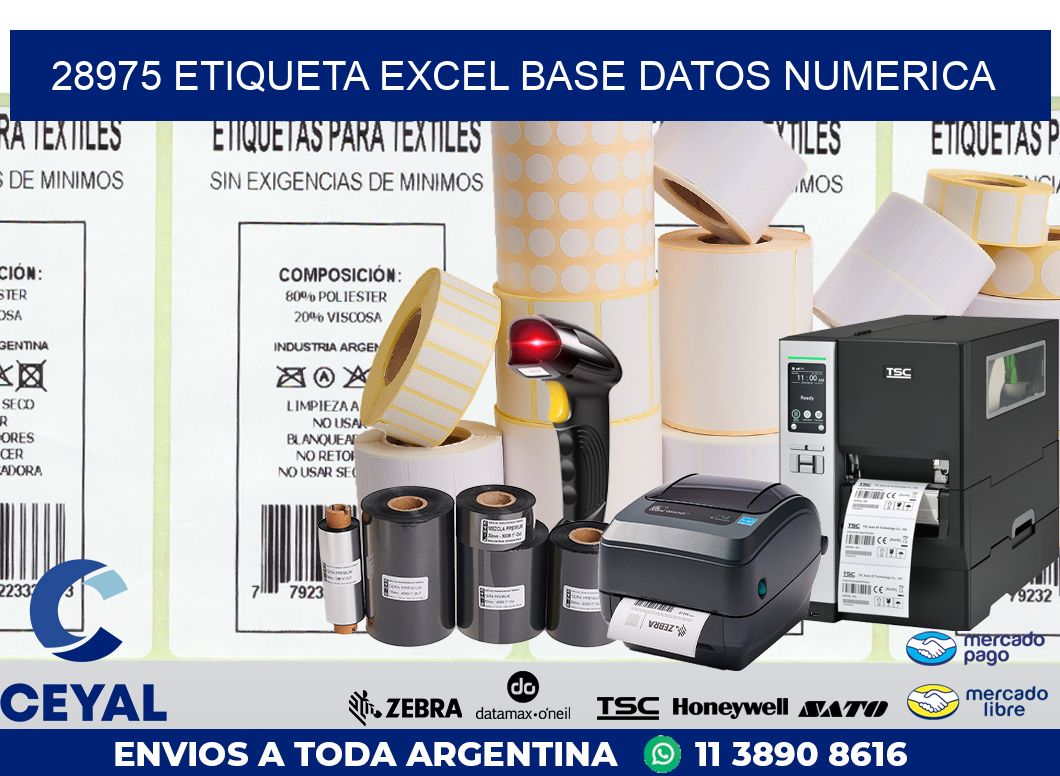 28975 etiqueta excel base datos numerica