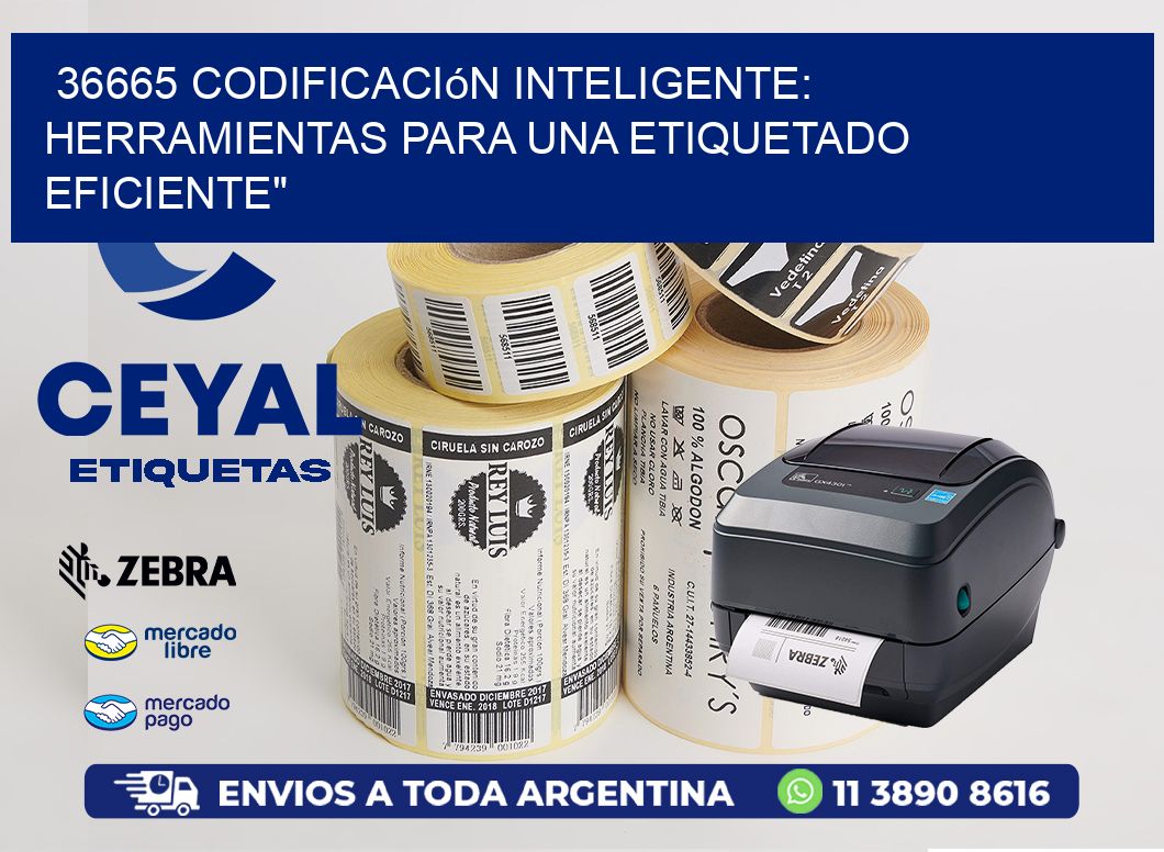 36665 Codificación Inteligente: Herramientas para una Etiquetado Eficiente