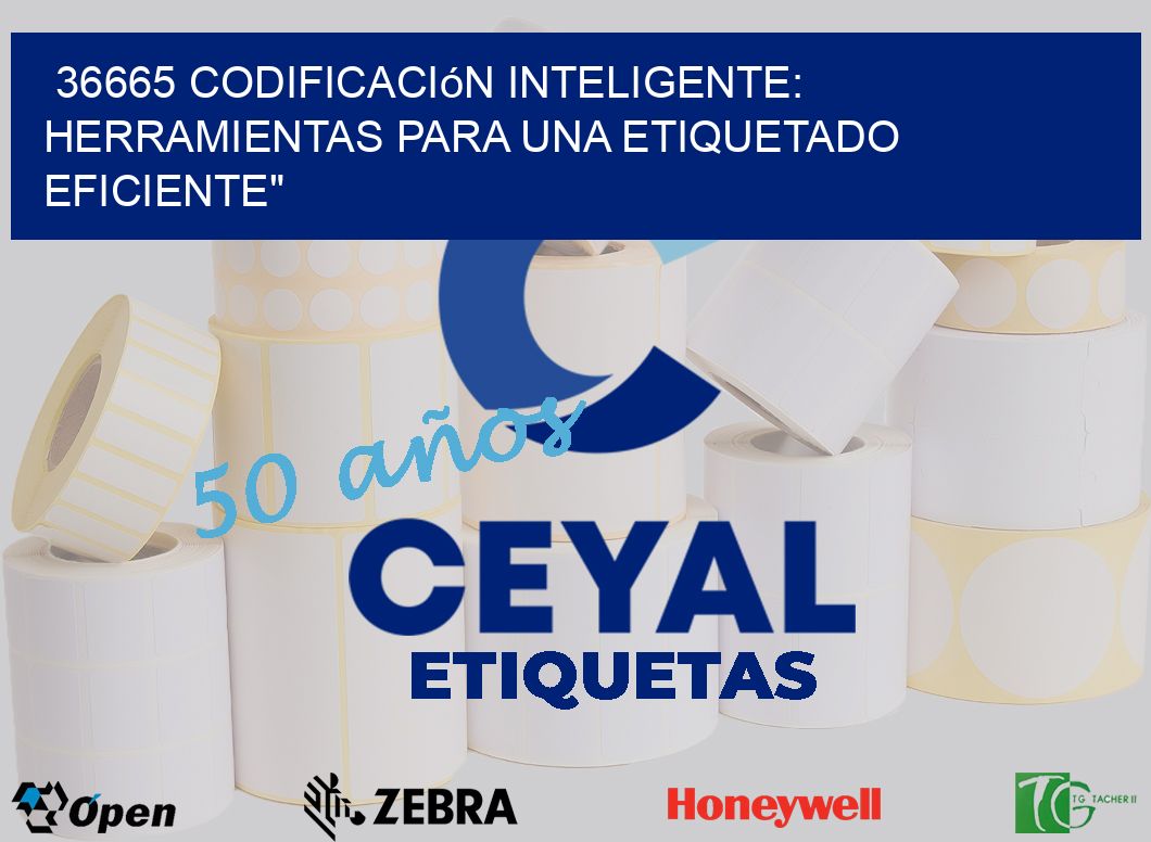 36665 Codificación Inteligente: Herramientas para una Etiquetado Eficiente”
