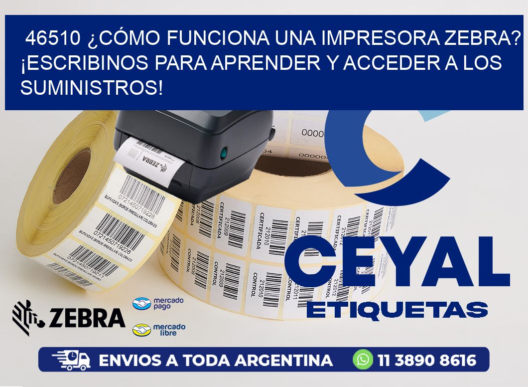 46510 ¿CÓMO FUNCIONA UNA IMPRESORA ZEBRA? ¡ESCRIBINOS PARA APRENDER Y ACCEDER A LOS SUMINISTROS!