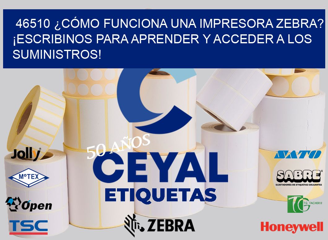46510 ¿CÓMO FUNCIONA UNA IMPRESORA ZEBRA? ¡ESCRIBINOS PARA APRENDER Y ACCEDER A LOS SUMINISTROS!