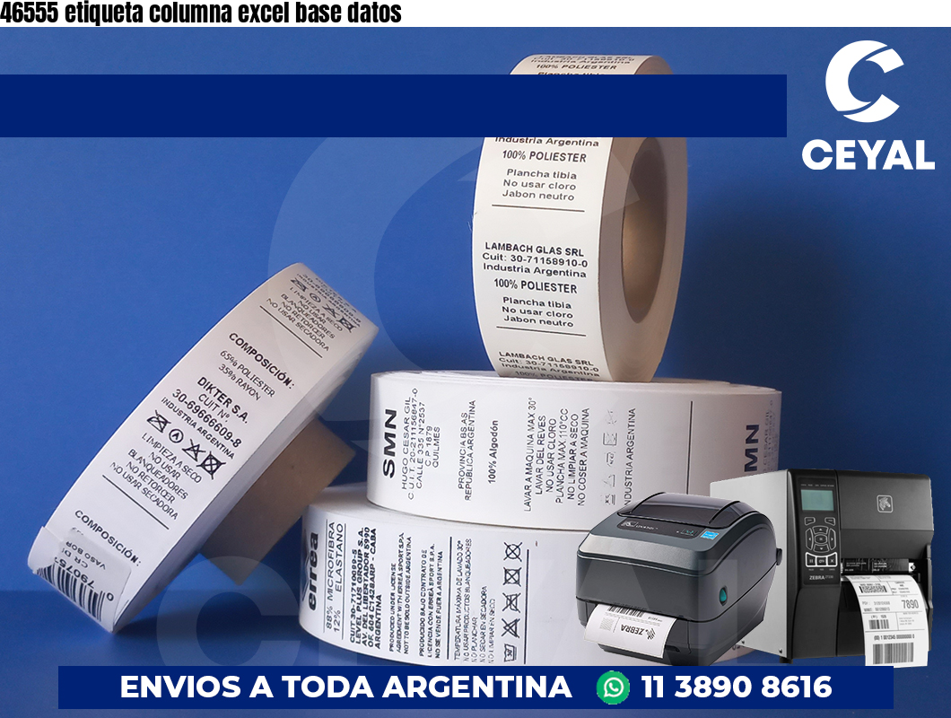 46555 etiqueta columna excel base datos
