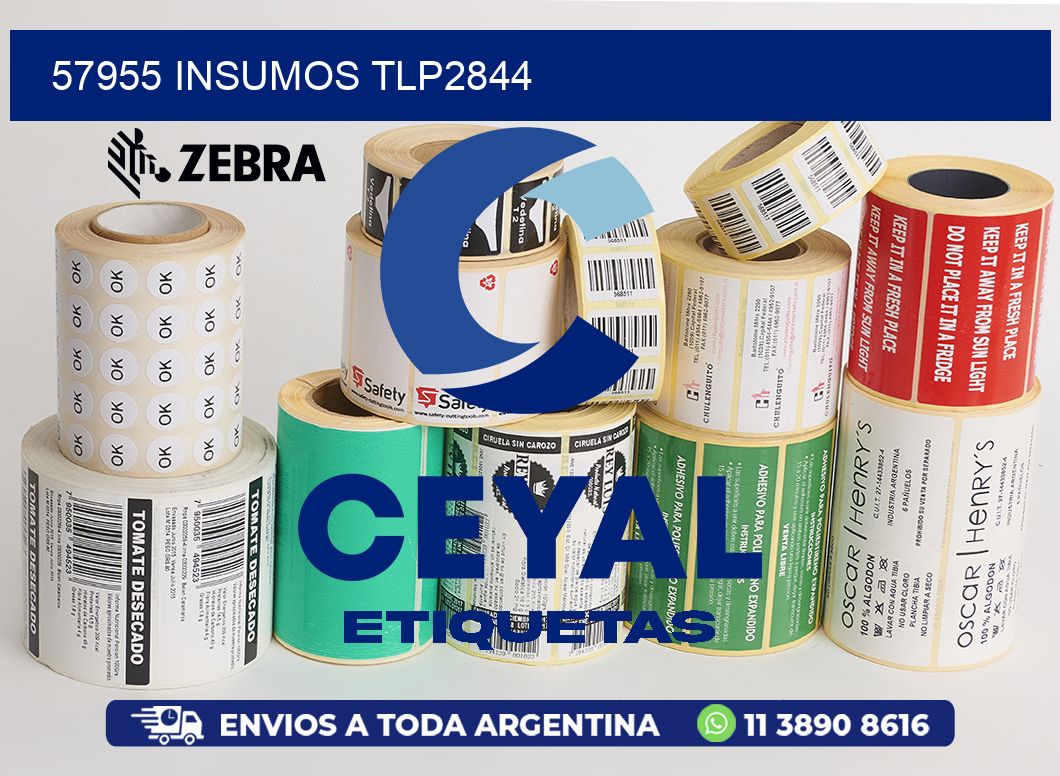57955 INSUMOS TLP2844