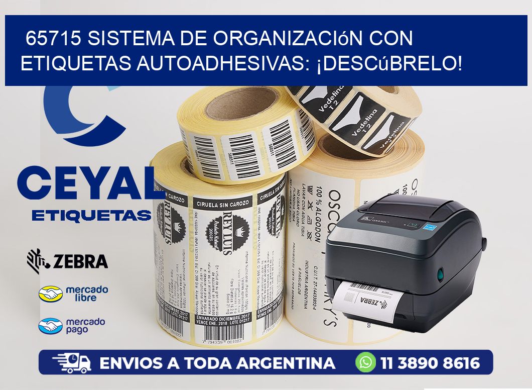 65715 Sistema de Organización con Etiquetas Autoadhesivas: ¡Descúbrelo!