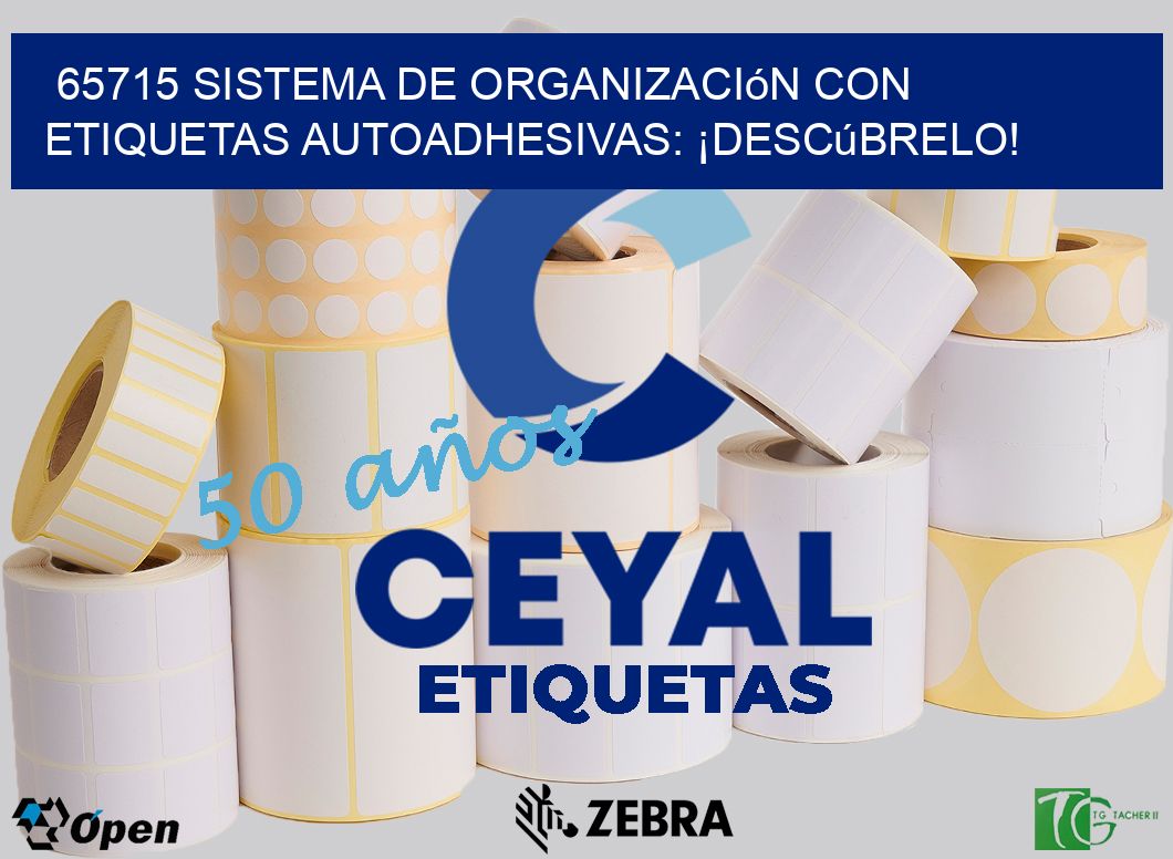 65715 Sistema de Organización con Etiquetas Autoadhesivas: ¡Descúbrelo!