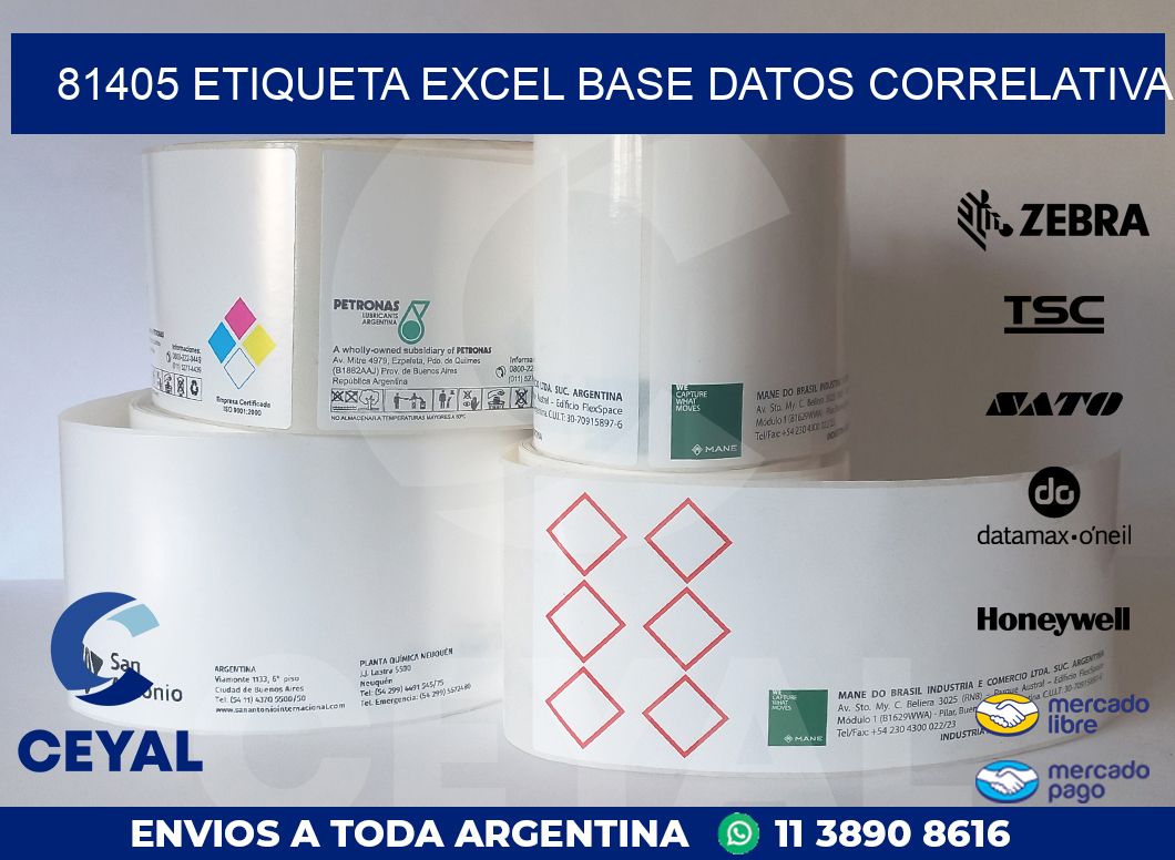 81405 etiqueta excel base datos correlativa