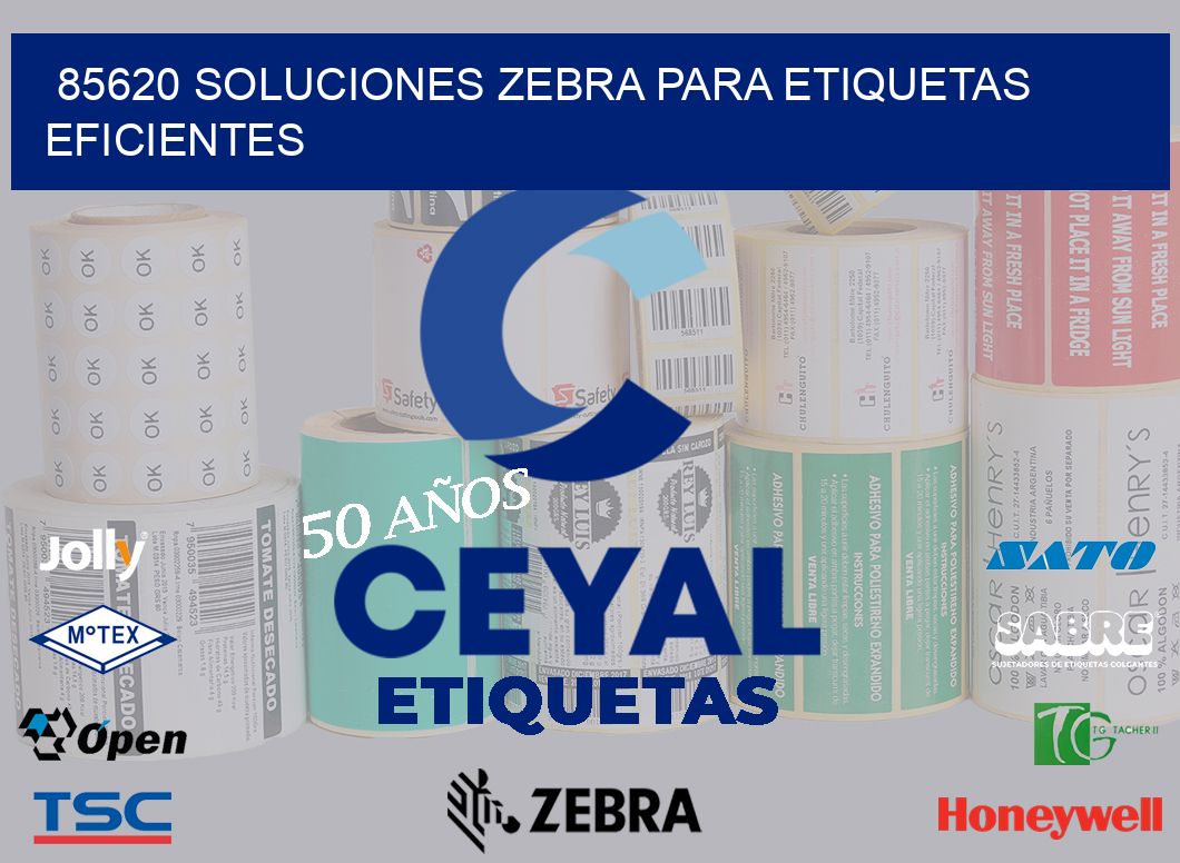 85620 Soluciones Zebra para Etiquetas Eficientes