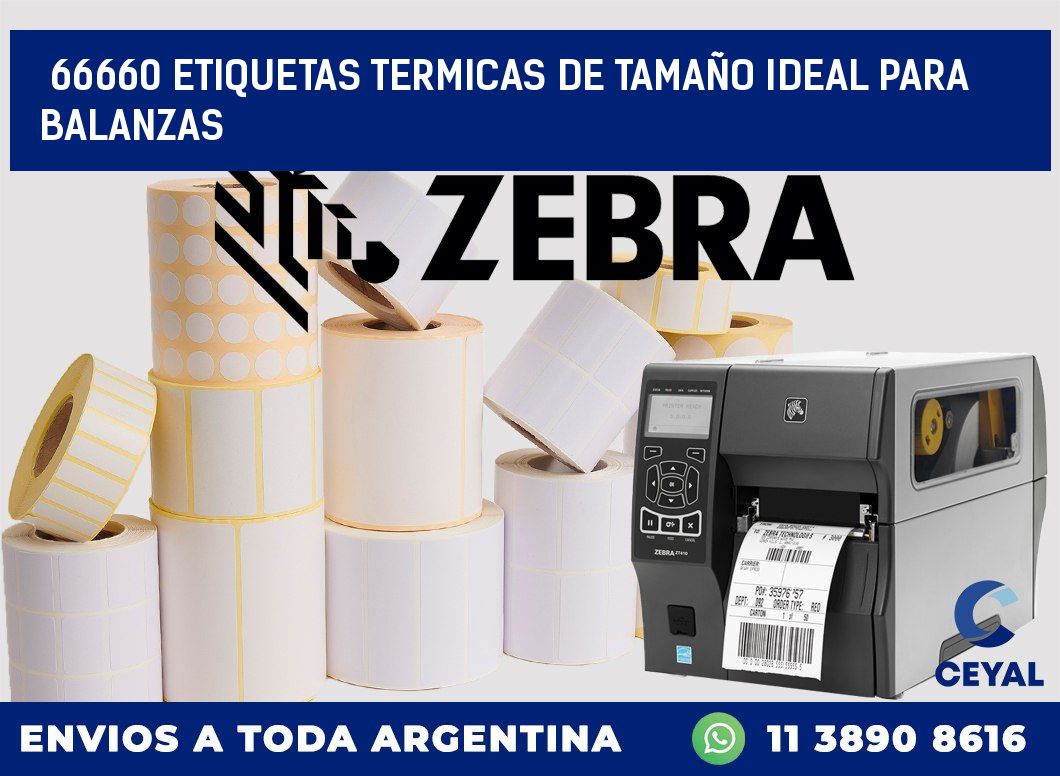 66660 ETIQUETAS TERMICAS DE TAMAÑO IDEAL PARA BALANZAS