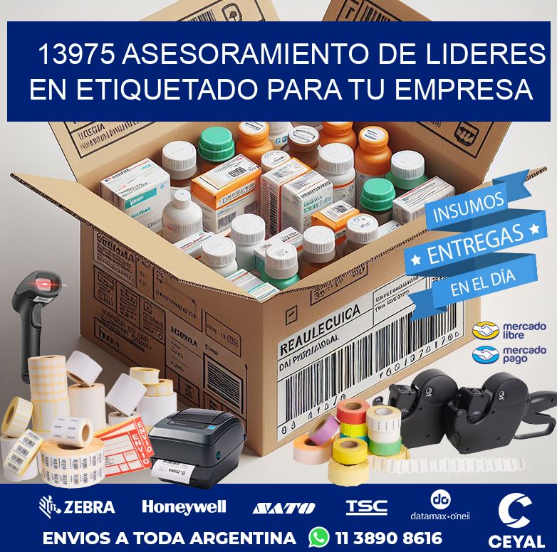 13975 ASESORAMIENTO DE LIDERES EN ETIQUETADO PARA TU EMPRESA