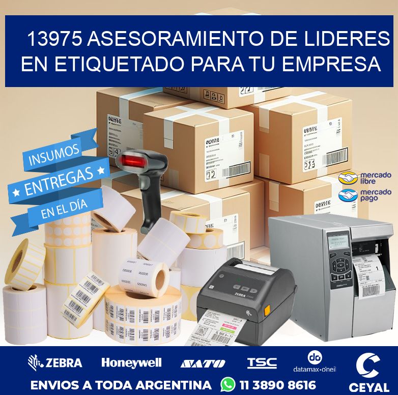 13975 ASESORAMIENTO DE LIDERES EN ETIQUETADO PARA TU EMPRESA