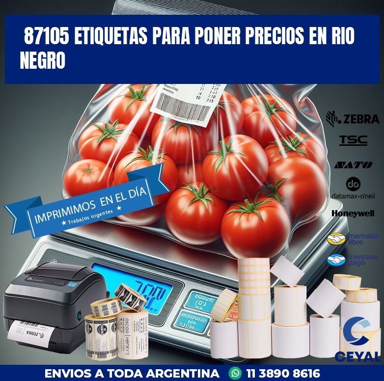 87105 ETIQUETAS PARA PONER PRECIOS EN RIO NEGRO