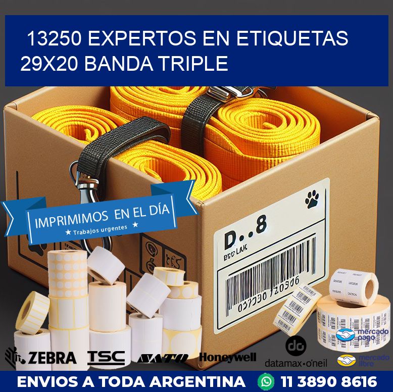 13250 EXPERTOS EN ETIQUETAS 29X20 BANDA TRIPLE