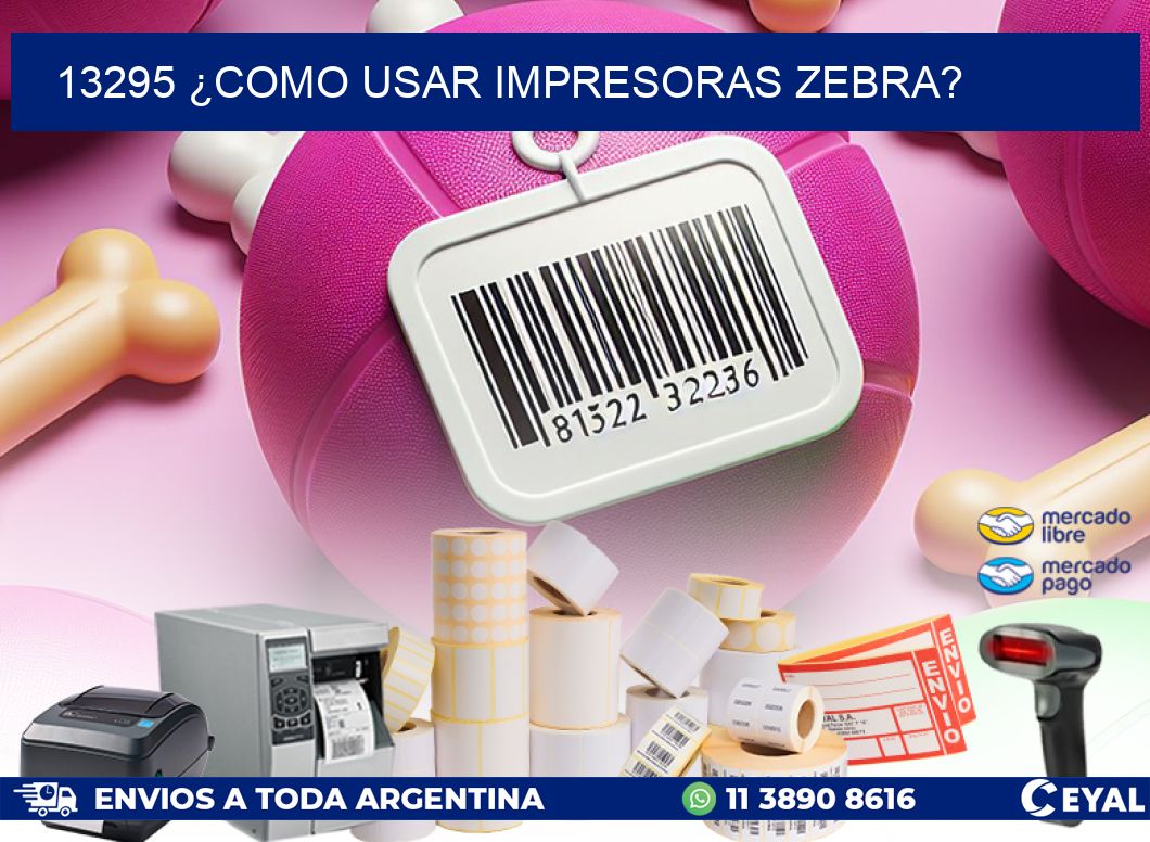 13295 ¿COMO USAR IMPRESORAS ZEBRA?