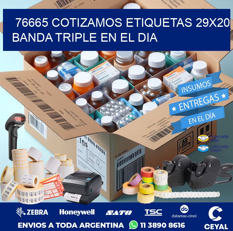 76665 COTIZAMOS ETIQUETAS 29X20 BANDA TRIPLE EN EL DIA