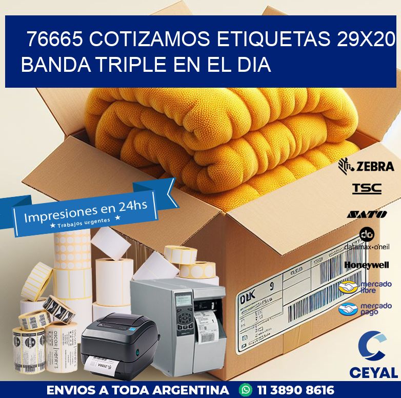 76665 COTIZAMOS ETIQUETAS 29X20 BANDA TRIPLE EN EL DIA