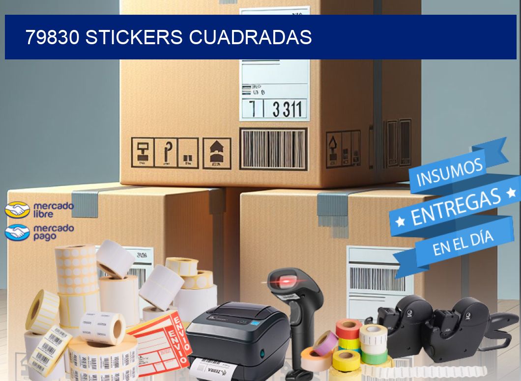 79830 Stickers cuadradas