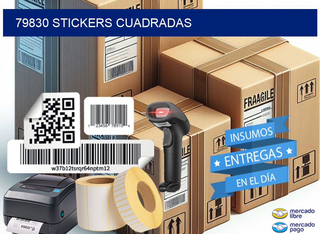 79830 Stickers cuadradas