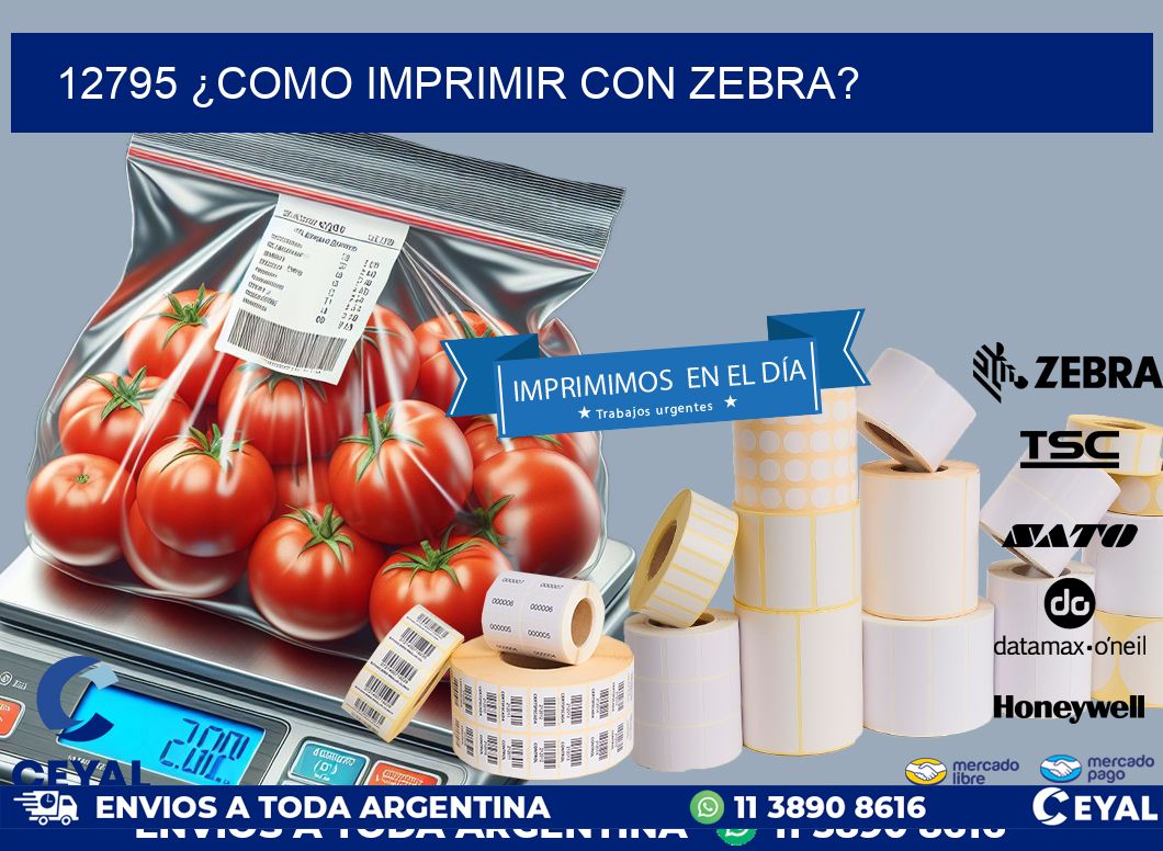 12795 ¿COMO IMPRIMIR CON ZEBRA?