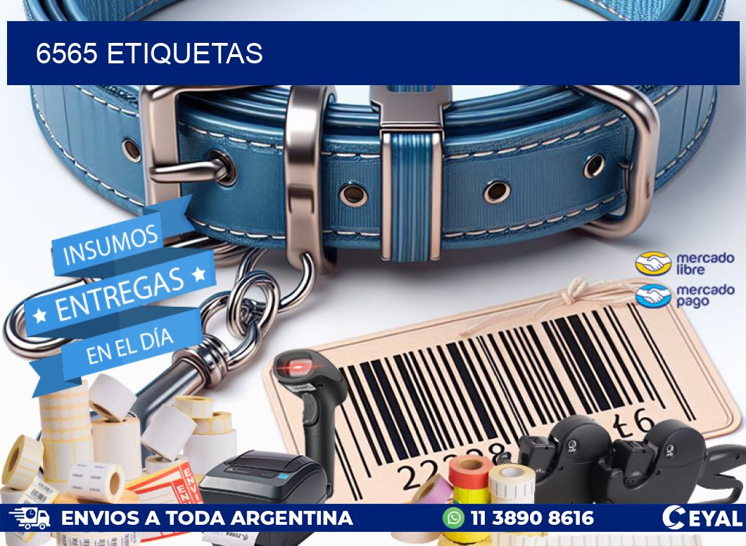 6565 ETIQUETAS
