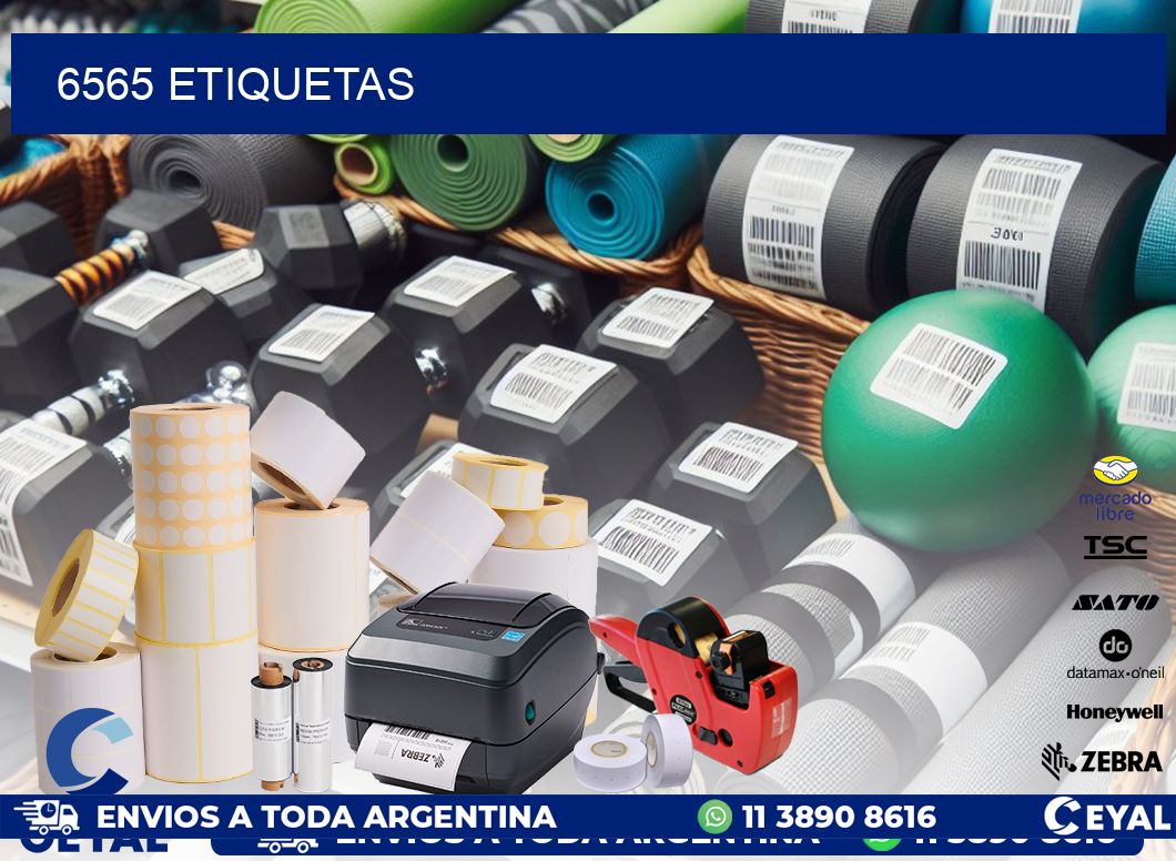 6565 ETIQUETAS
