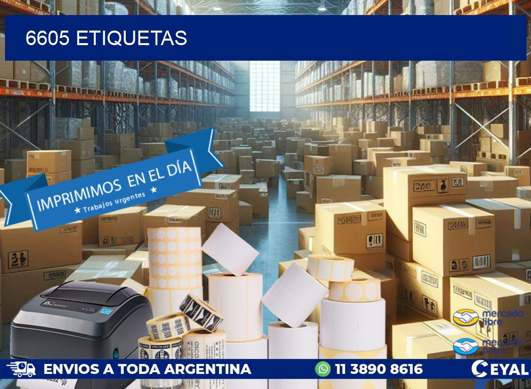 6605 ETIQUETAS