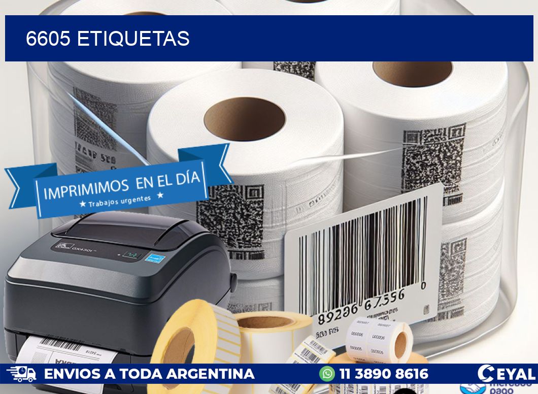 6605 ETIQUETAS