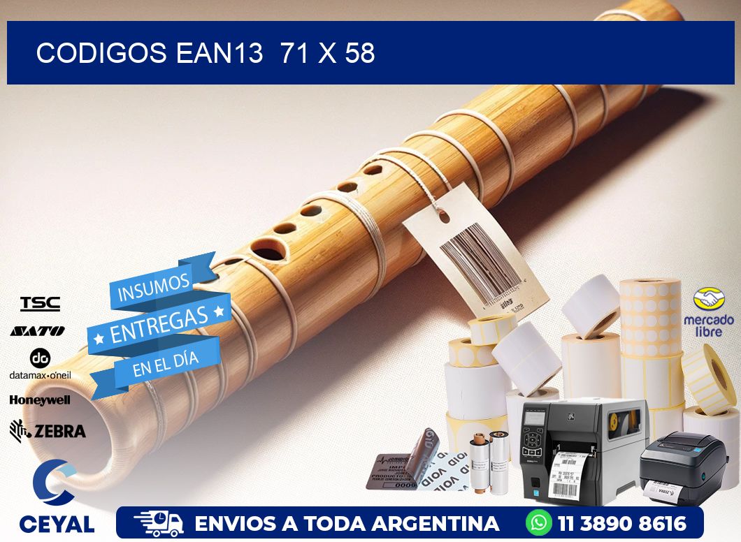CODIGOS EAN13  71 x 58