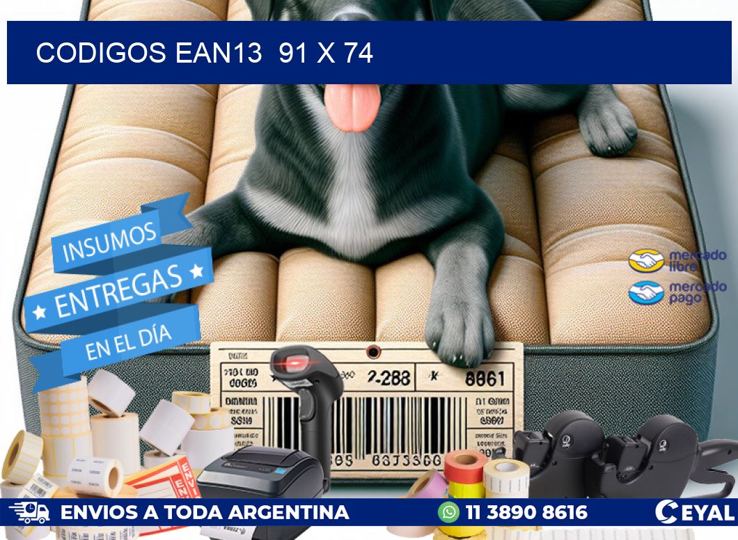 CODIGOS EAN13  91 x 74