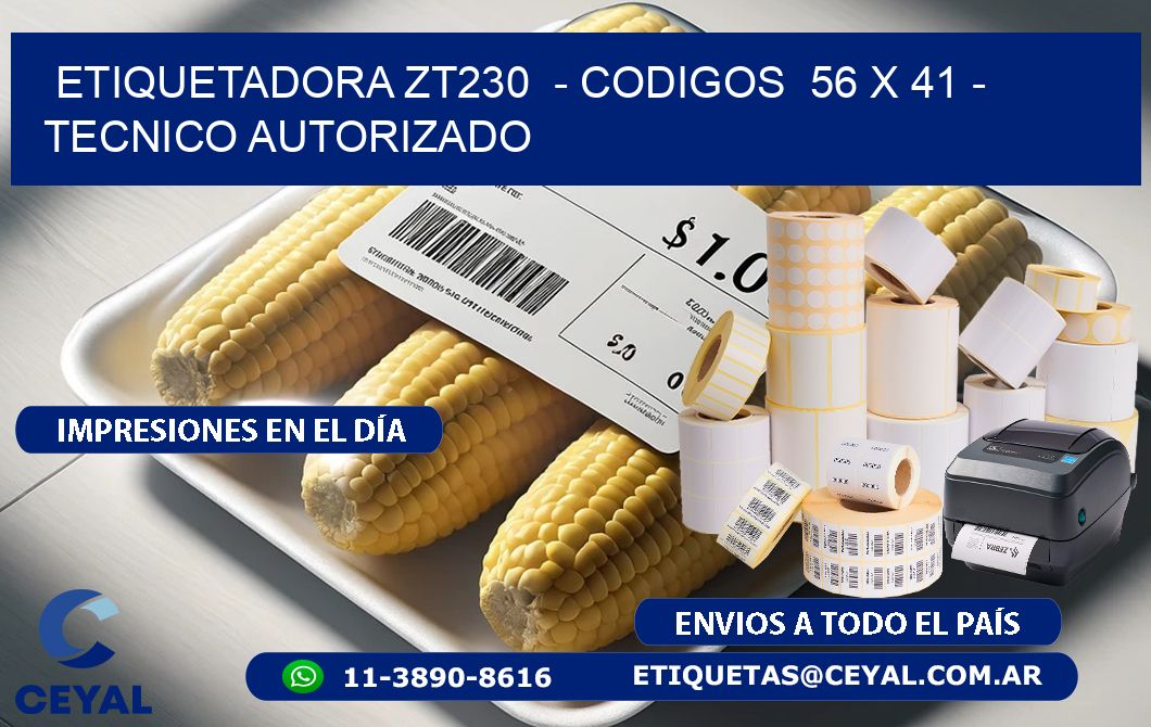 ETIQUETADORA ZT230  - CODIGOS  56 x 41 - TECNICO AUTORIZADO
