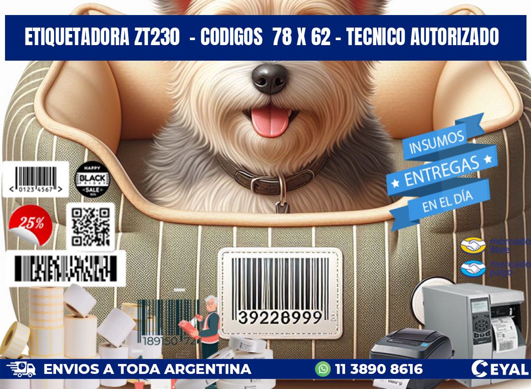 ETIQUETADORA ZT230  - CODIGOS  78 x 62 - TECNICO AUTORIZADO