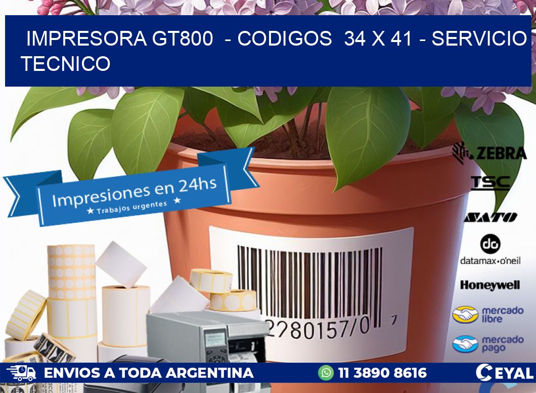 IMPRESORA GT800  - CODIGOS  34 x 41 - SERVICIO TECNICO