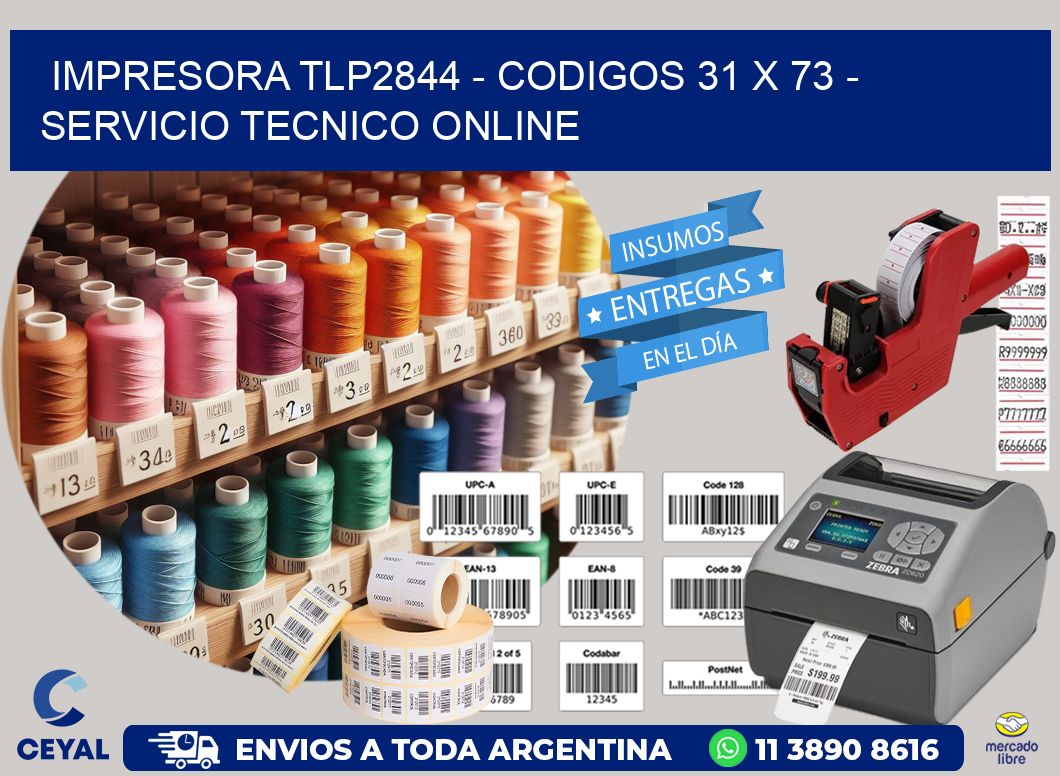 IMPRESORA TLP2844 - CODIGOS 31 x 73 - SERVICIO TECNICO ONLINE