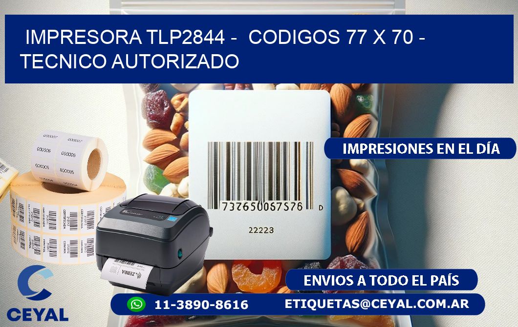 IMPRESORA TLP2844 -  CODIGOS 77 x 70 - TECNICO AUTORIZADO