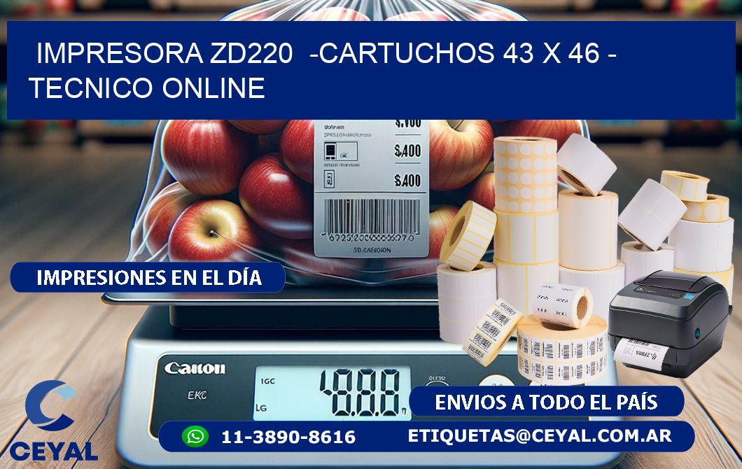 IMPRESORA ZD220  -CARTUCHOS 43 x 46 - TECNICO ONLINE