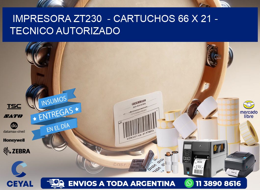 IMPRESORA ZT230  - CARTUCHOS 66 x 21 - TECNICO AUTORIZADO