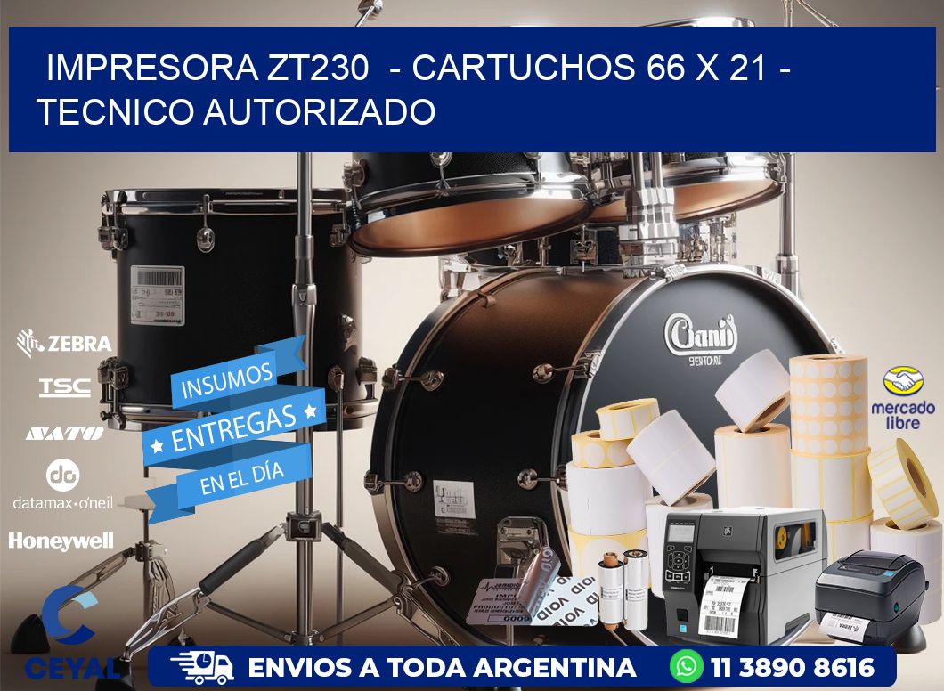 IMPRESORA ZT230  - CARTUCHOS 66 x 21 - TECNICO AUTORIZADO