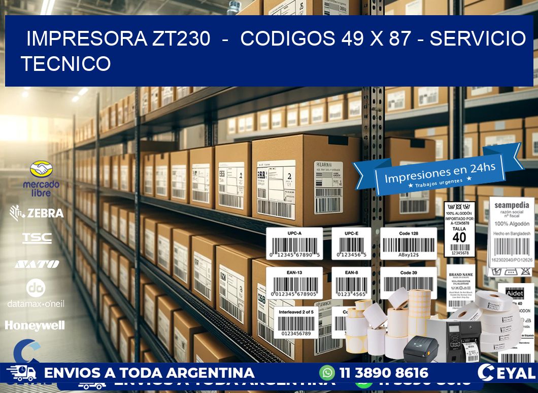 IMPRESORA ZT230  -  CODIGOS 49 x 87 - SERVICIO TECNICO