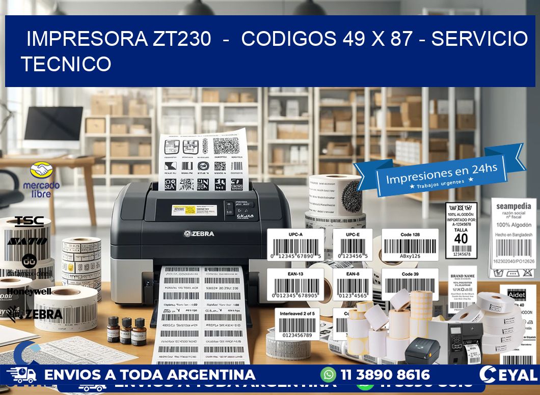 IMPRESORA ZT230  -  CODIGOS 49 x 87 - SERVICIO TECNICO