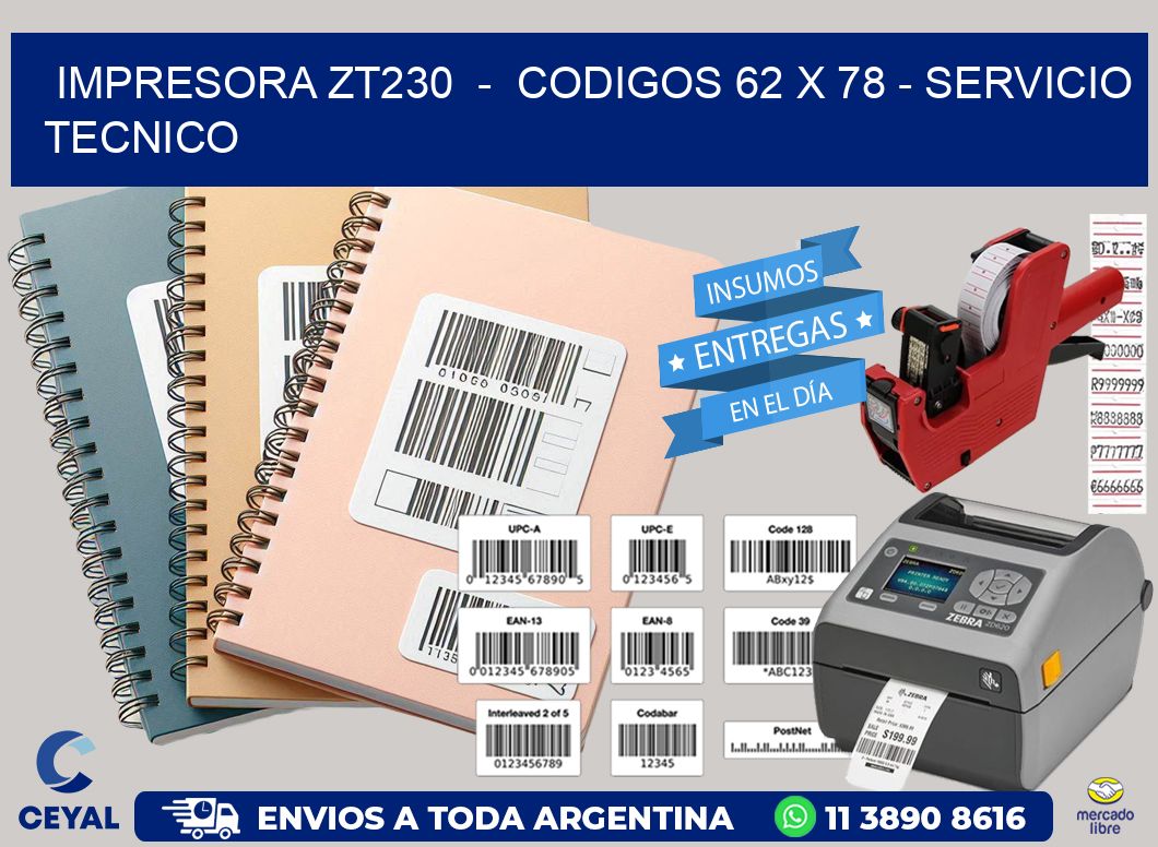 IMPRESORA ZT230  -  CODIGOS 62 x 78 - SERVICIO TECNICO