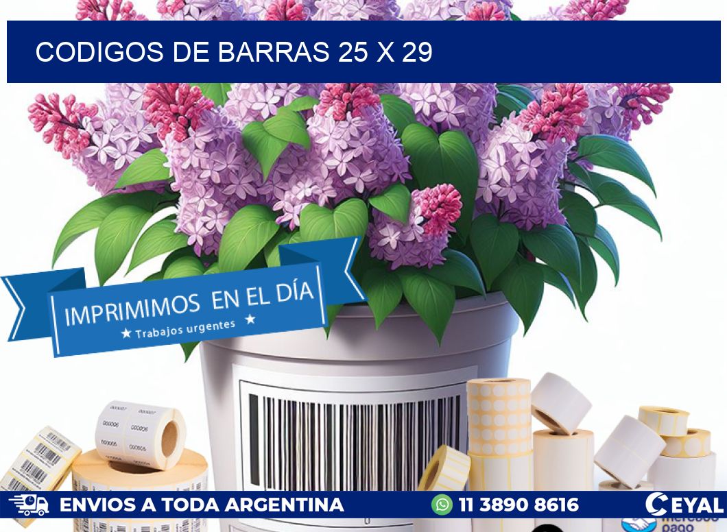 codigos de barras 25 x 29