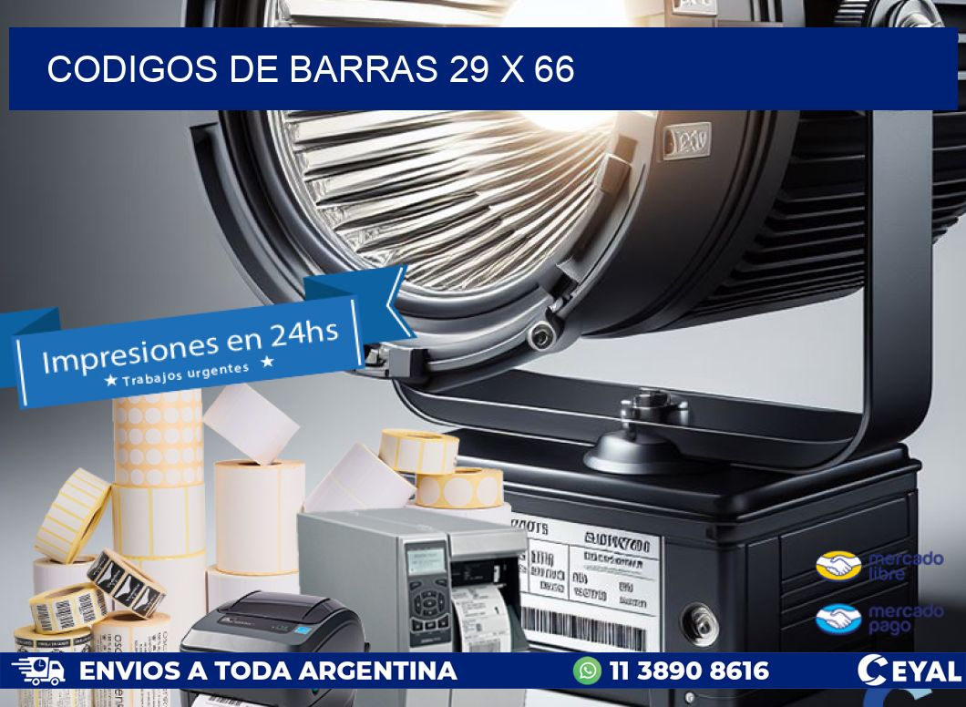 codigos de barras 29 x 66