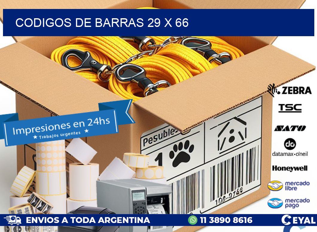 codigos de barras 29 x 66
