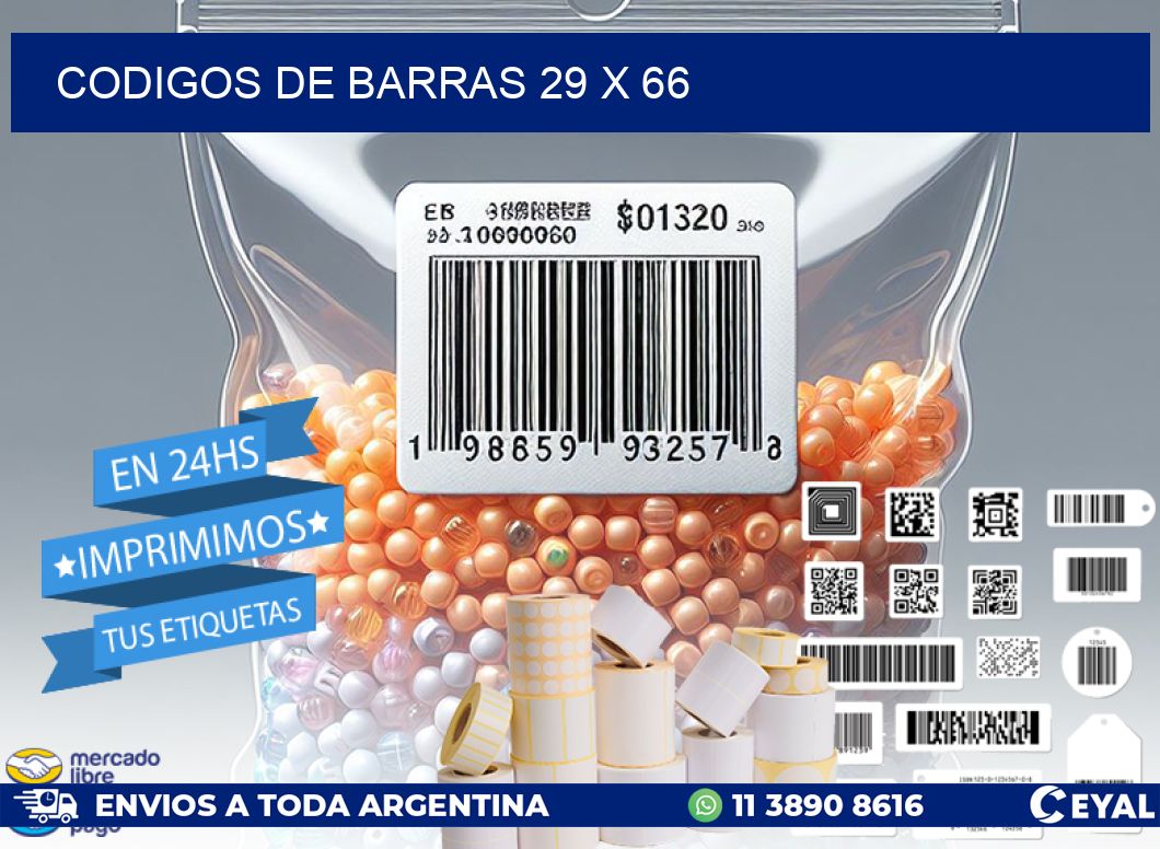 codigos de barras 29 x 66
