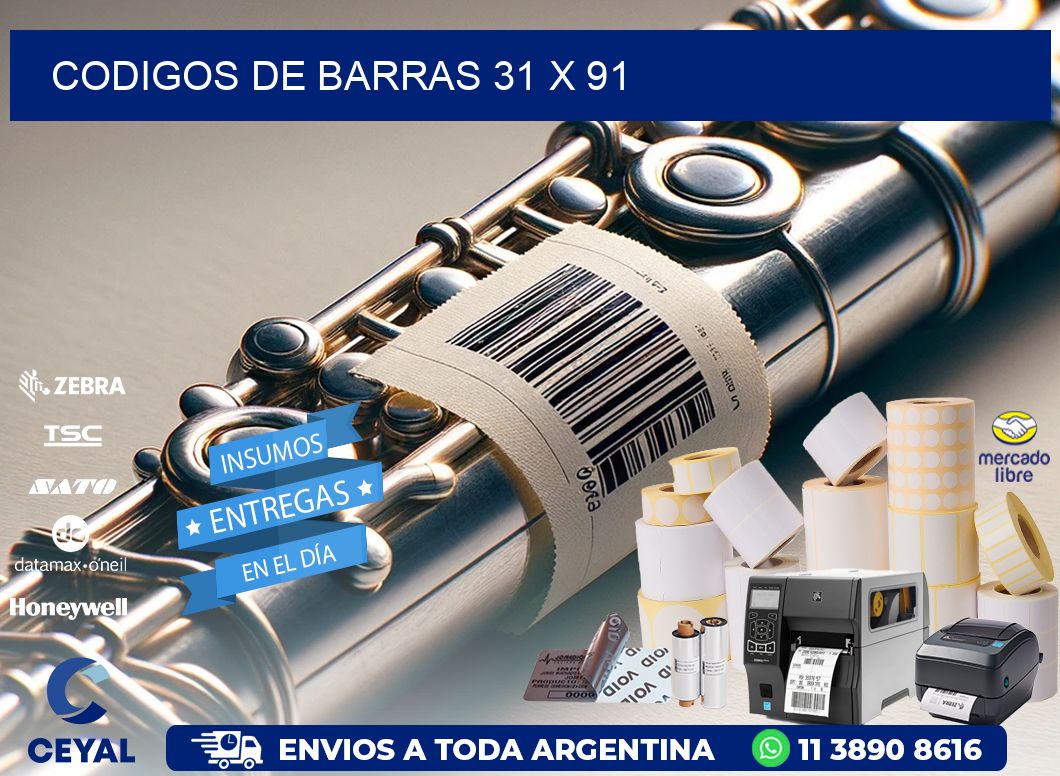 codigos de barras 31 x 91