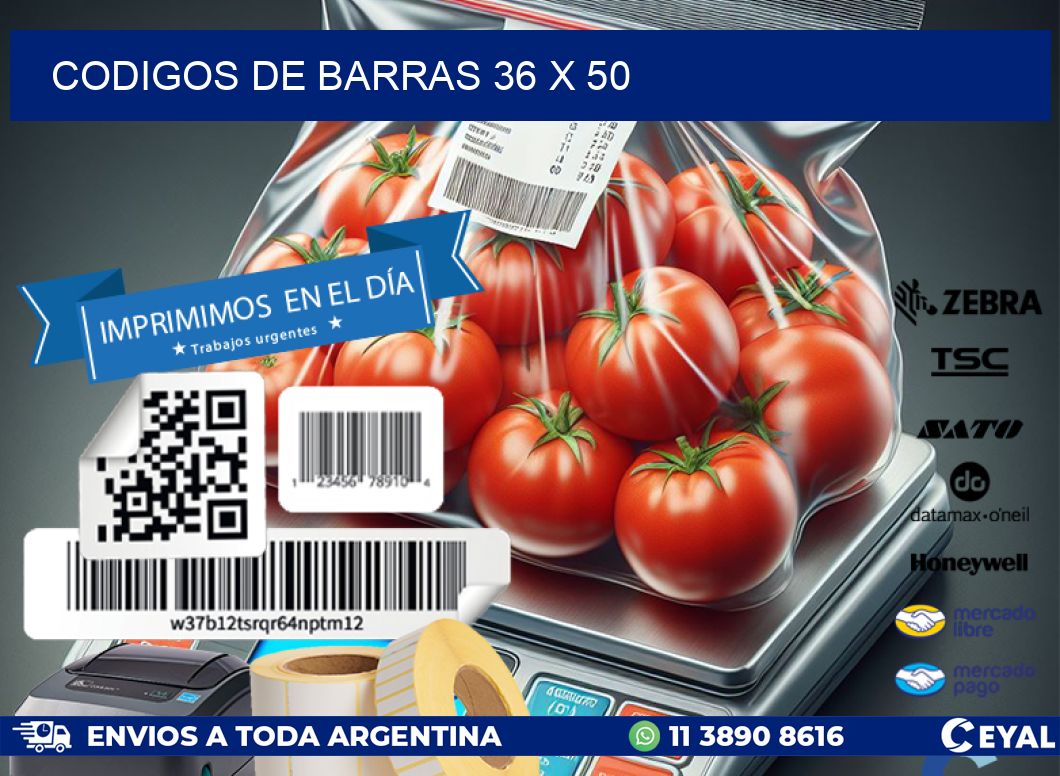 codigos de barras 36 x 50
