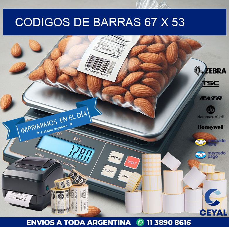 codigos de barras 67 x 53